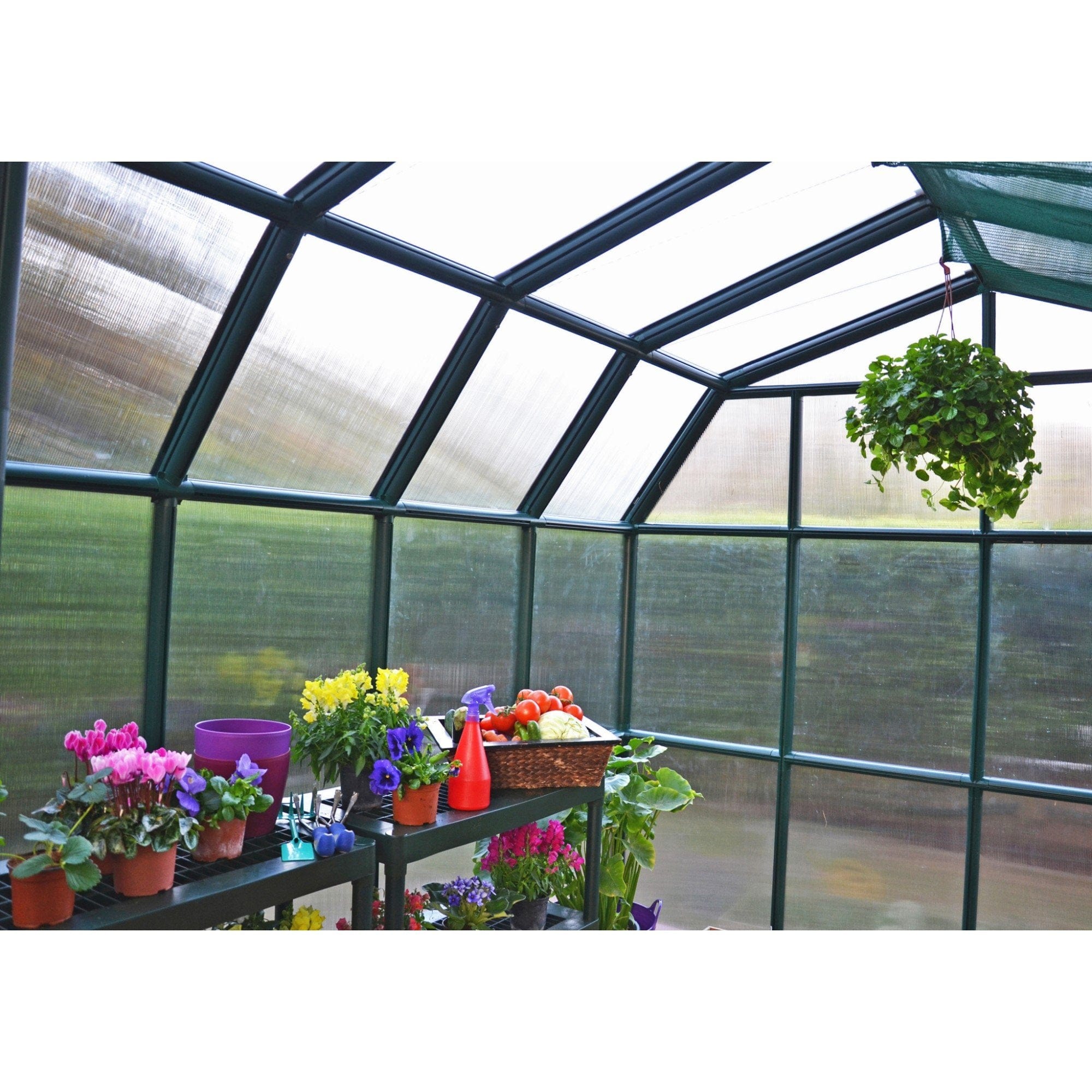 Palram - Canopia | Grand Gardener Greenhouse Kit - 8 Ft Wide - Green With 6mm Twin-wall Polycarbonate Glazing